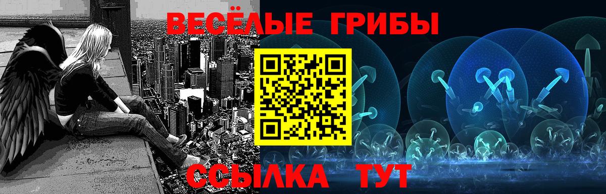 Псилоцибиновые грибы GOLDEN TEACHER Котовск