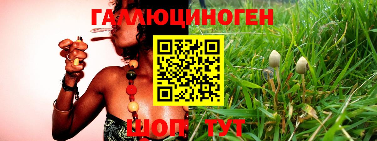 Котовск  Псилоцибиновые грибы мицелий  Галлюциногенные грибы GOLDEN TEACHER  что такое   Вход с VPN 